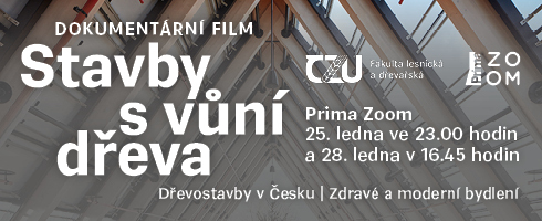 FLDfilm2025 FLDfilm2025