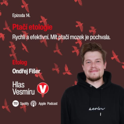 podcastPtaci podcastPtaci