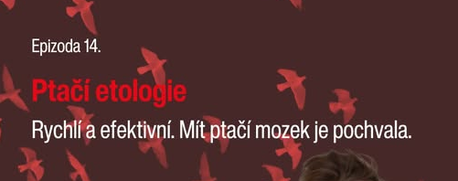 podcastPtaci podcastPtaci