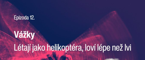 podcast2026vážkyEvaBílková podcast2026vážkyEvaBílková